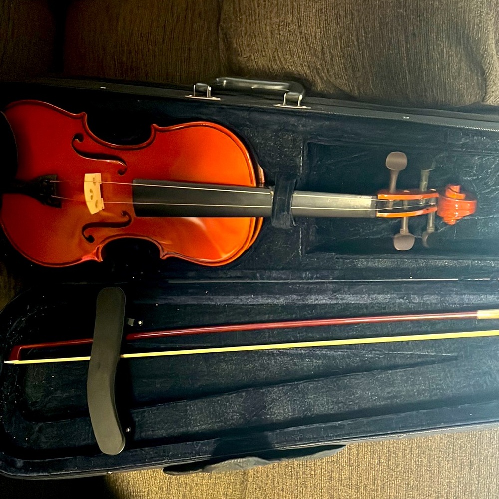 Violin and hard case